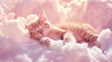 Wall Mural - Cute baby cat sleeping on the clouds