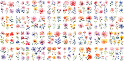 a big watercolor floral package collection. use by fabric, fashion, wedding invitation, template, po