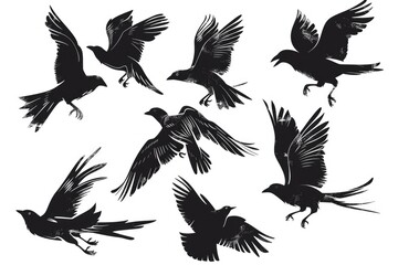 Poster - A group of birds flying in the air, suitable for various projects