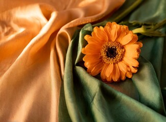 Orange flower with orange and green silk. Elegant wallpaper.