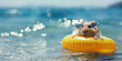 © thestudio - Swimming hamster