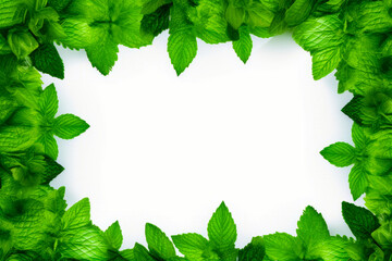 Wall Mural - Frame made of green leaves on white background with place for text.