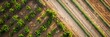 © Cassova - A top-down shot capturing the vibrant greenery of trees in a well-maintained farm.
