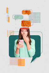 Wall Mural - Vertical photo collage of astonished girl hold iphone device receive shocked message text box notification isolated on painted background