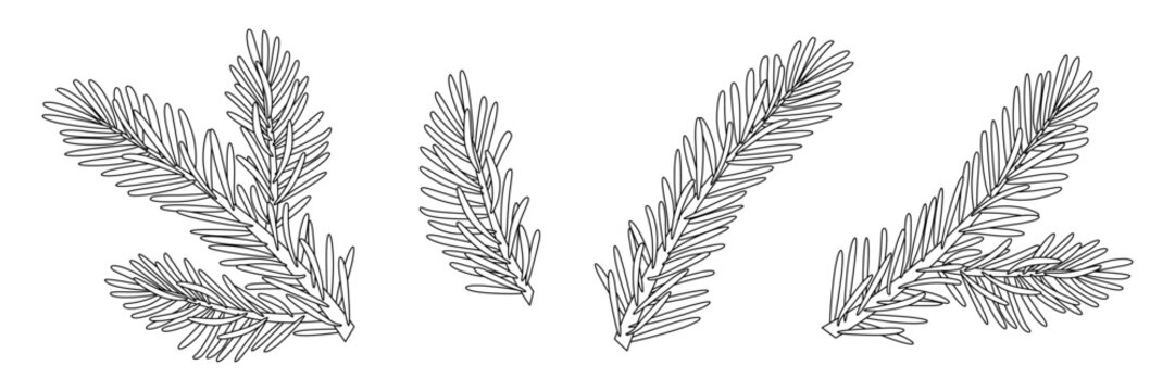 christmas larch doodle style line art set. pine, spruce branch, evergreen tree, fir, vector icon, wi