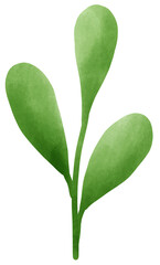 green leaf