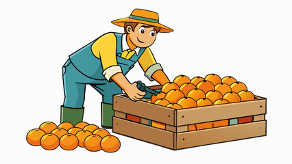 Poster - A farmer inspects the bushels of ripe plump oranges in their orchard carefully packing them into crates. The profit is showcased by the quality and. Cartoon Vector