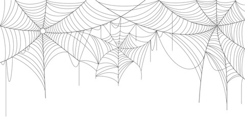 Wall Mural - spider web line art vector