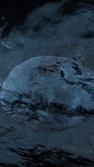 Wall Mural - vertical full moon reflection on black water 4k loop features dark waters moving with the reflection