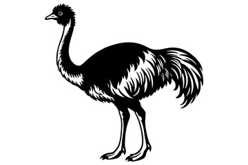 Wall Mural - emu vector silhouette illustration