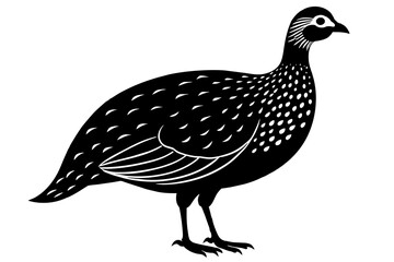 Canvas Print - guinea fowl vector silhouette illustration