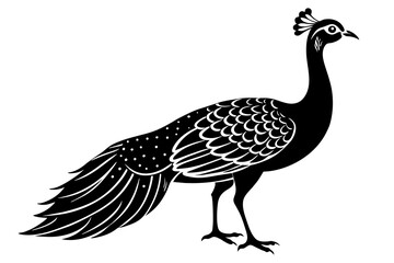 Canvas Print - peahen vector silhouette illustration