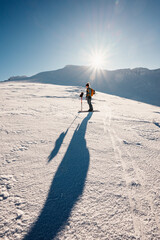 Wall Mural - Mountaineer backcountry ski walking ski alpinist in the mountains. Ski touring in alpine landscape with snowy trees. Adventure winter sport. Low Tatras, slovakia