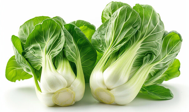 Fresh pak choi with vibrant green leaves and white stalks on white background food photography