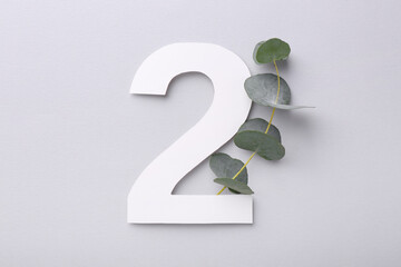 Wall Mural - Paper number 2 and eucalyptus branch on light grey background, top view