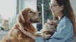 © The Little Hut - Smiling woman veterinarian with golden retriever dog and fluffy cat at work in clinic : Generative AI