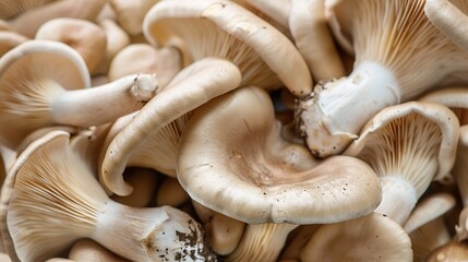 Bunch of fresh Oyster mushrooms closeup Vegetarian food healthy diet mushroom close up : Generative AI