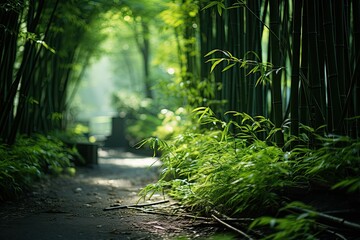 Wall Mural - Serene woods with elegant bamboo trees., generative IA