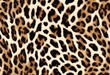 © wafi - cheetah animal skin seamless creative fabric pattern design wild created fashion