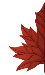 close-up of half red maple leaf on white background, vector illustration