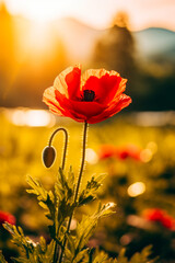 Red flower with green stem in field of flowers.