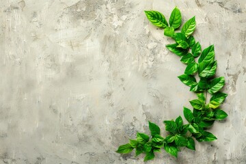 Wall Mural - Natural concept, environment and organic products. Green abstract arrow, natural design. Natural design, flyer layout, marketing material, copy space - generative ai