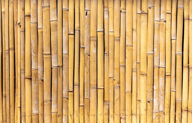 Sticker - Dry bamboo fence as an abstract background. Texture