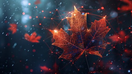 Icon of the Canadian maple leaf network's internet signal