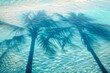 © artemstepanov - Palm tree shadows on blue water background, palm branch on beach pattern, ocean wave sunlight palm shadow