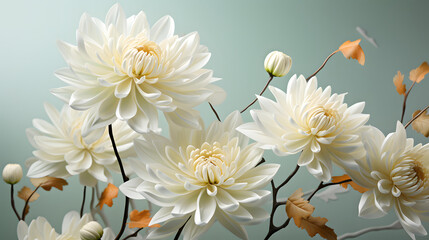 Wall Mural - Digital soft and clear chrysanthemum plant abstract poster PPT background