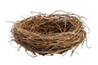 © twilight mist - Empty bird nest isolated on white background