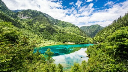 Wall Mural - Tranquil landscape of a grassy field featuring a vibrant blue body of water in the foreground