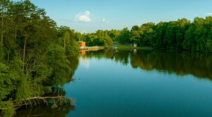 Wall Mural - Tranquil lake surrounded by lush greenery, the shallow waters glimmering in the sunlight