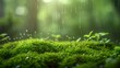 © jessica - Close-Up of Dew on Moss in Rainy Forest Scene - ai generative