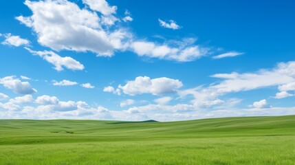 Wall Mural - Charming prairie scenery backdrop.