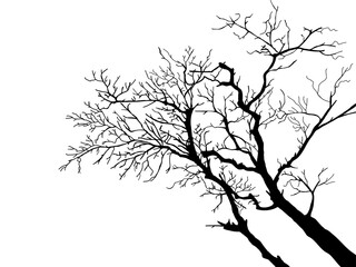 Wall Mural - Black Branch Tree or Naked trees silhouettes set. Hand drawn isolated illustrations.