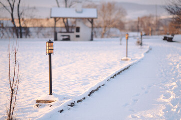 Poster - a path that has snow on the ground with trees and bushes in front