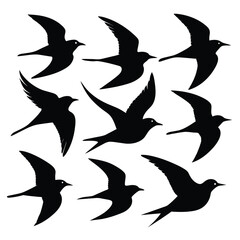 Set of arctic tern birds animal Silhouette Vector on a white background