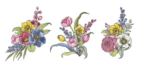 Wall Mural - Set of vector compositions of spring flowers, leaves and branches. Different flowers, tulips, anemones and other plants in beautiful bouquets.