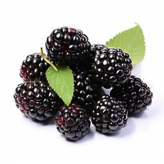 Wall Mural - blackberry on white background