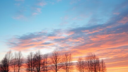 Wall Mural - blending pale blue sky