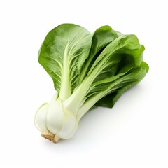 Wall Mural - fresh green cabbage