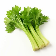 Poster - fresh parsley