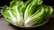 © vectorwin - dish chinese cabbage vegetable