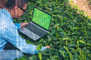 Wall Mural - Smart farmer using laptop in eco green farm sustainable quality control. Close up Hand typing laptop computer quality control plant tree. Farmer hands using technology in eco Farmland biotechnology