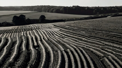 Plowed Fields