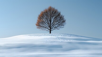 Wall Mural - a single pine tree on a snowy hill, with a backdrop of a clear, crisp winter sky. list of art media 