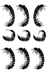 Poster - Black and white silhouettes of shrimp, suitable for seafood industry