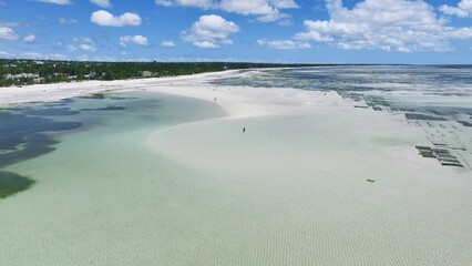 Wall Mural - Aerial view of island during low tide, sandbank in ocean, white sandy beach, people, blue sea at sunny summer day in Zanzibar. Top drone view of sand spit, clear water, sky with clouds. Tropical