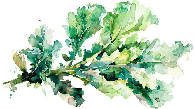 watercolor_kale_on_white_background